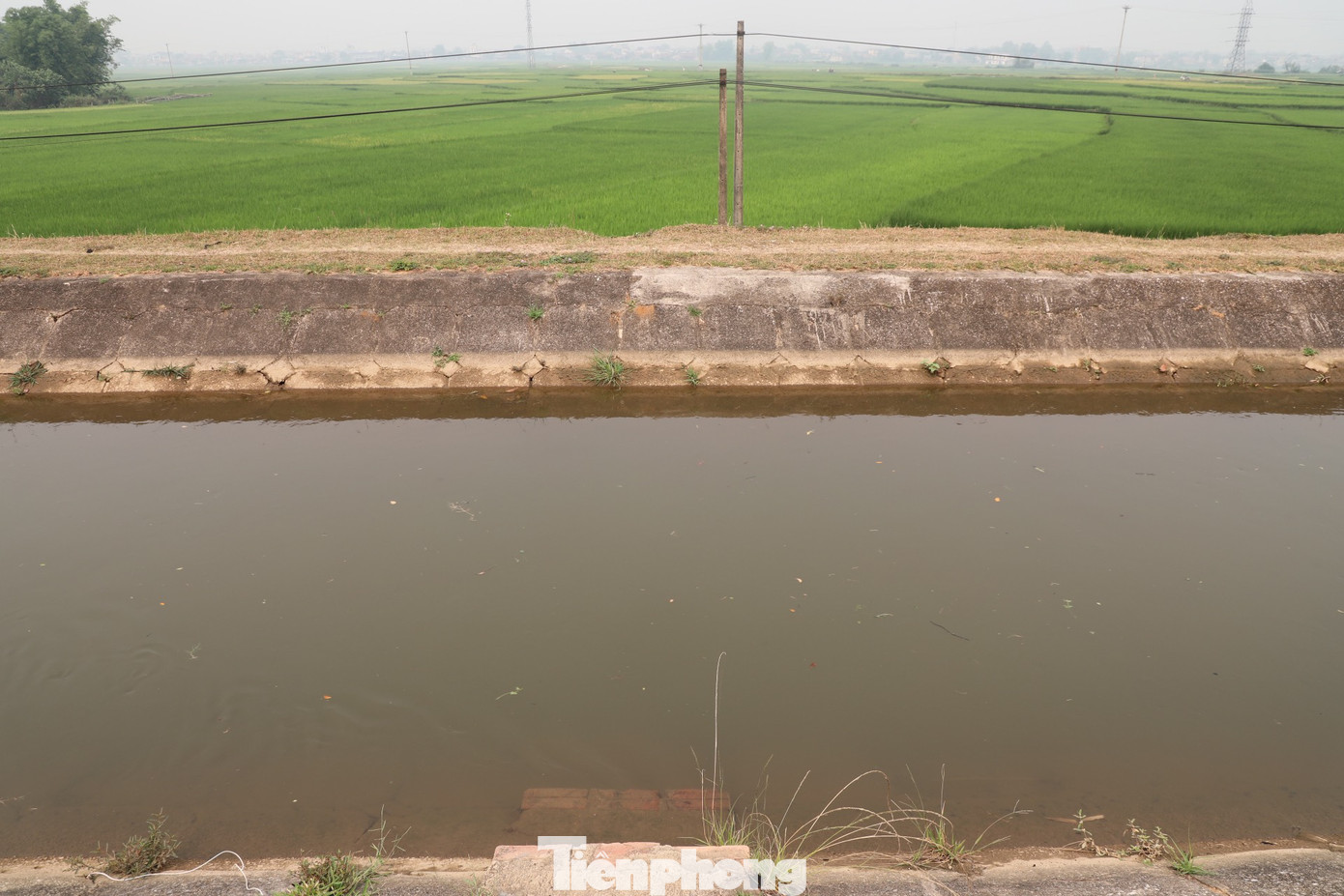 Toàn hệ thống hiện có 476 cống dẫn nước vào cánh đồng.