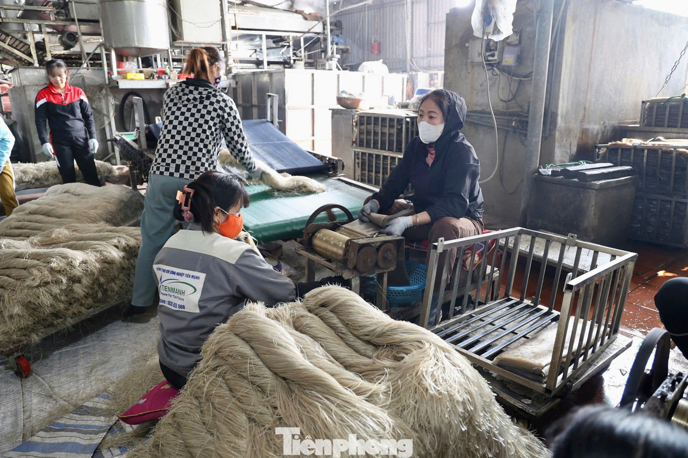 Dịp Tết, gia đình ông huy động 40 nhân công làm việc liên tục để kịp các đơn hàng từ khắp cả nước. "Hàng ít thì gửi xe khách, nhiều thì thuê xe tải hoặc container", ông nói.