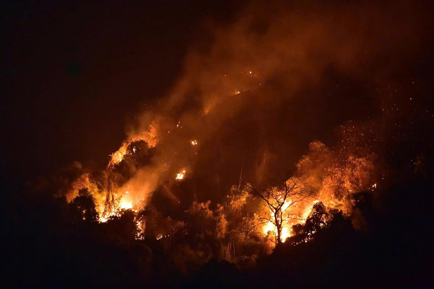 Hiện trường đám cháy tại khu vực núi Nghiêm, xã Hoàng Khai (Yên Sơn). Hiện trường đám cháy tại khu vực núi Nghiêm, xã Hoàng Khai (Yên Sơn).