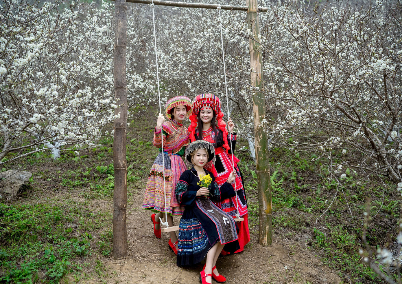 Vườn mận có nhiều góc chụp ảnh lý tưởng để du khách lưu lại những khoảnh khắc tuyệt vời.