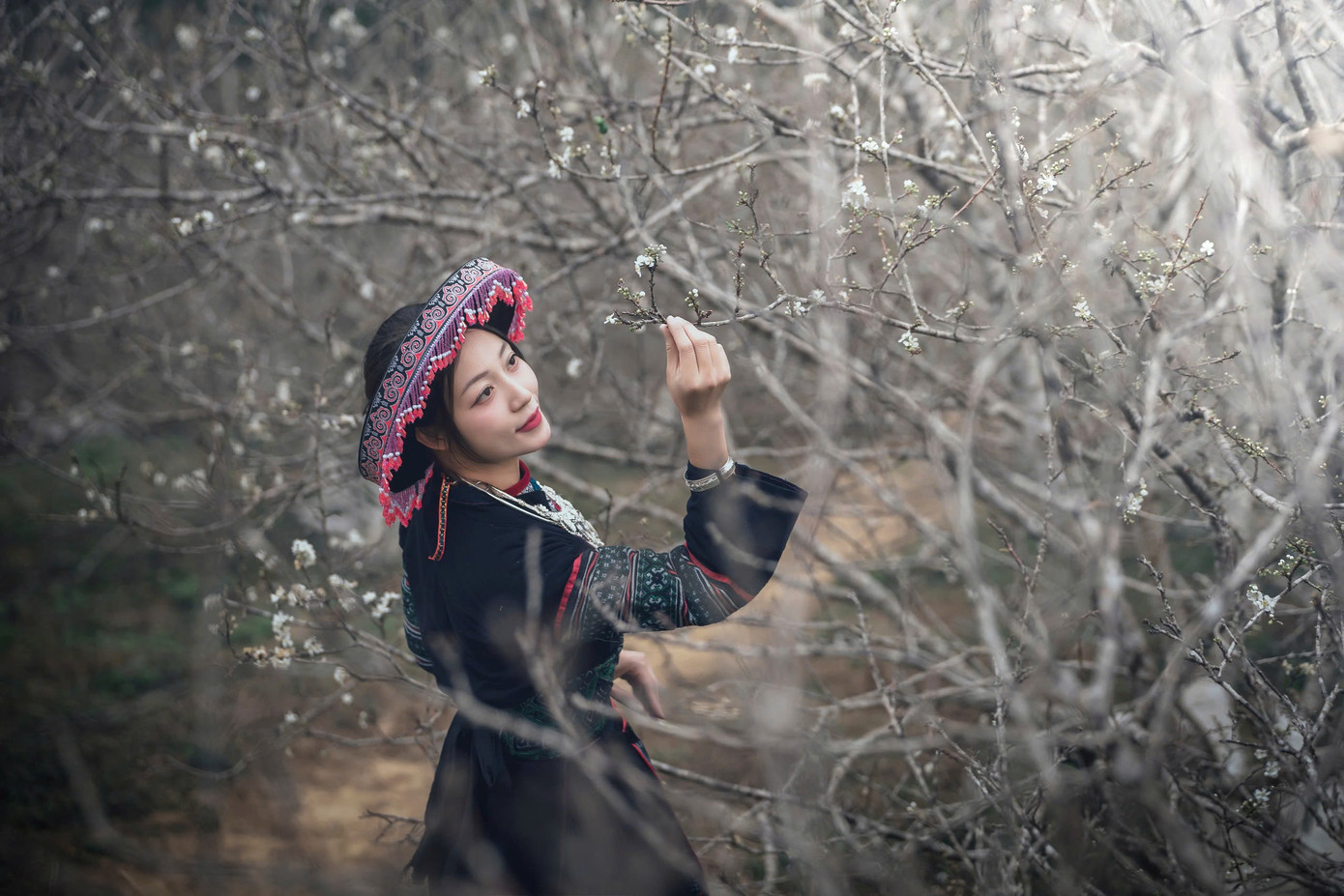 Không gian vườn mận đẹp như trong tranh.