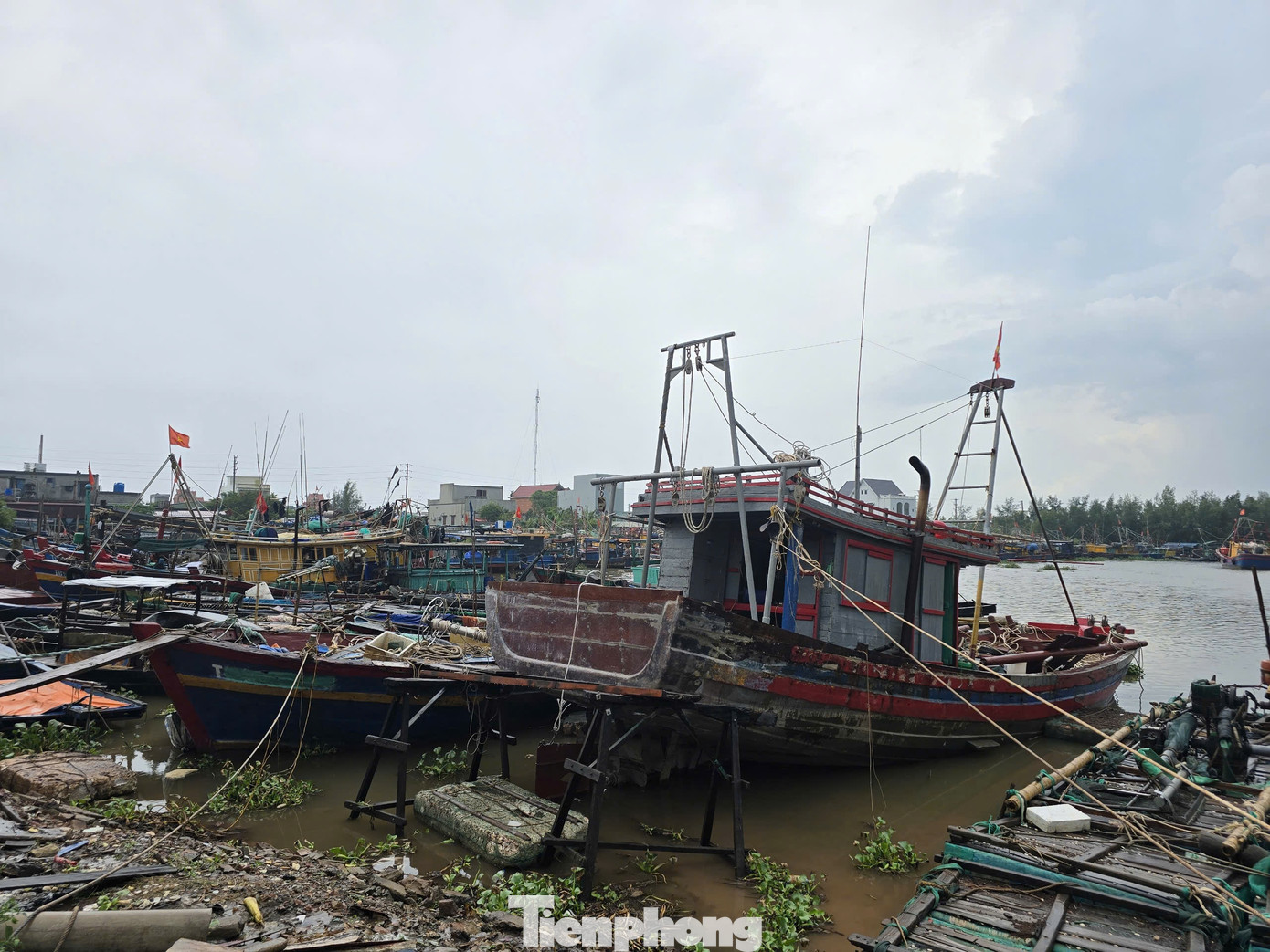 Tàu, thuyền được chằng buộc cẩn thận để ứng phó với mưa bão.