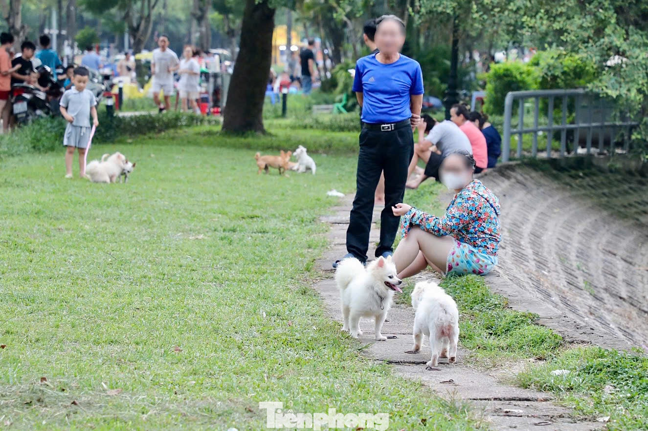 Tại công viên hồ Đền Lừ (quận Hoàng Mai, Hà Nội) hàng chục con chó không đeo rọ mõm, thả rông cũng thoải mái đi lại, "giao lưu" với nhau.