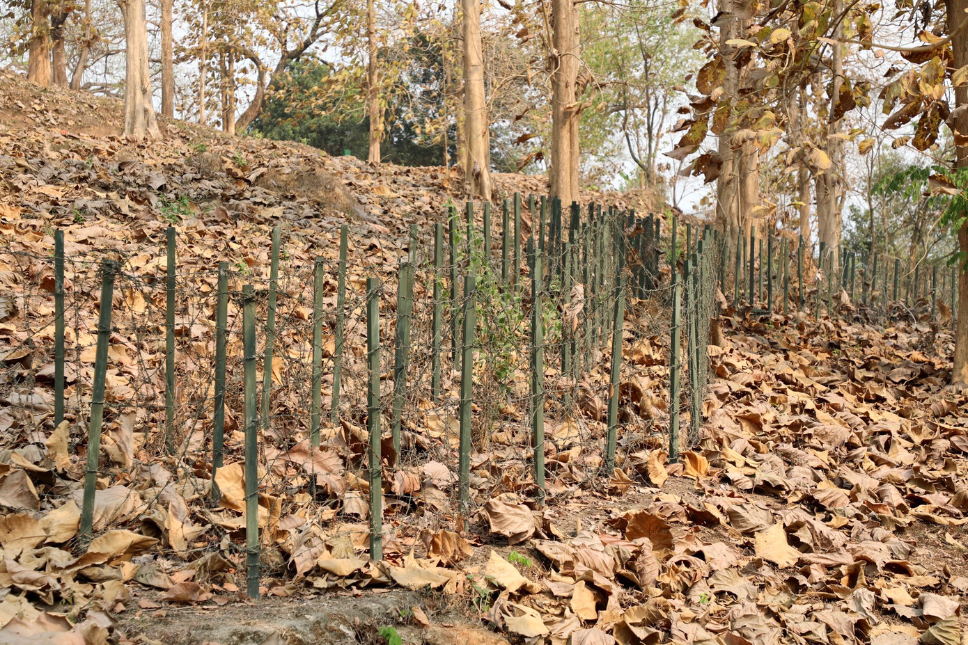 70 năm đã trôi qua, những hàng dây thép gai, hầm hào công sự, lô cốt... vẫn được bảo tồn trên đồi A1 để minh chứng cho sự khốc liệt của chiến tranh.