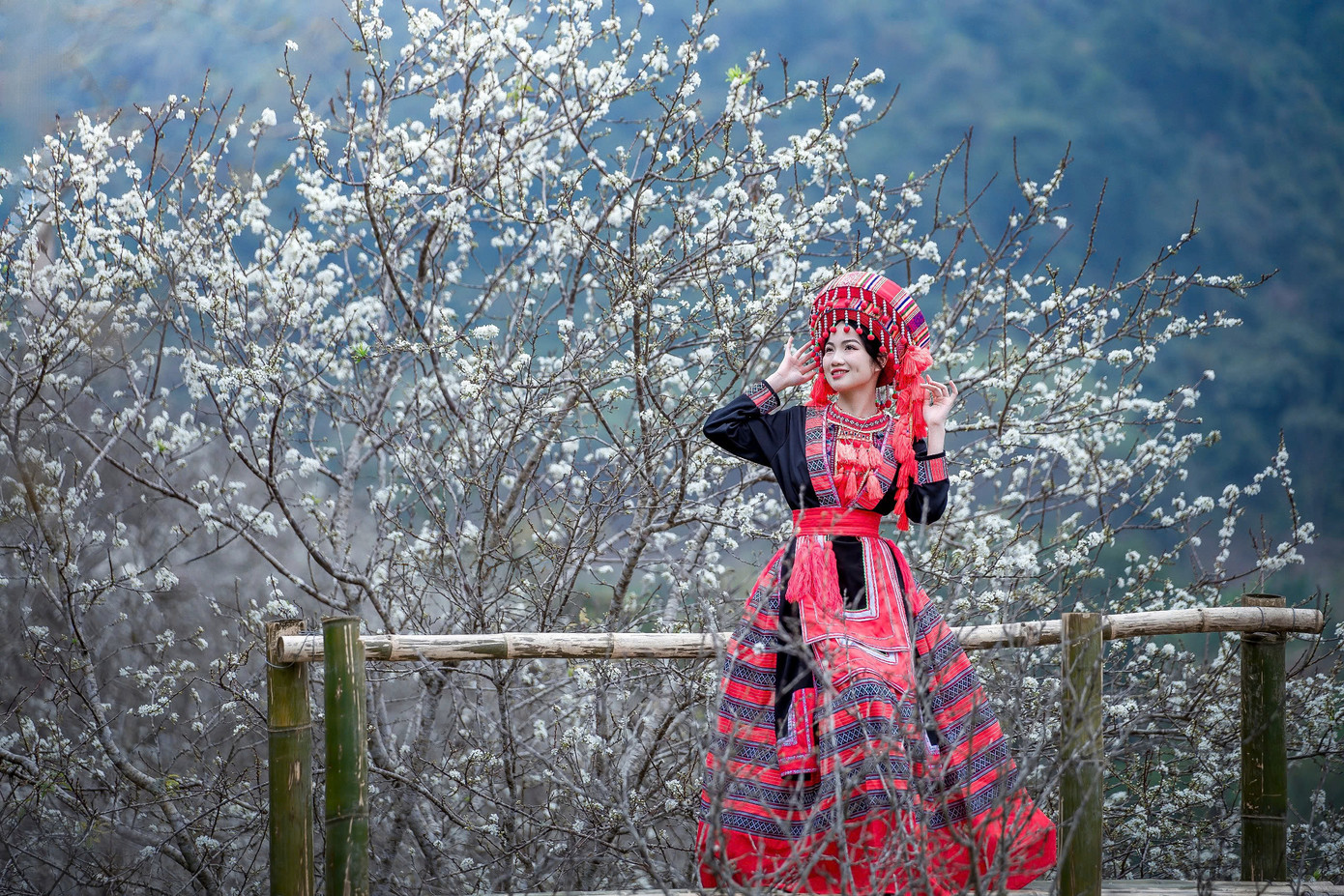 Nhiều bạn trẻ mặc trang phục dân tộc rực rỡ, thả dáng chụp ảnh giữa sắc trắng bạt ngàn của hoa mận.