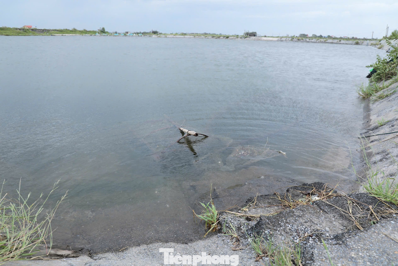 Các hộ dân trong khu vực đã được cảnh báo sớm, cùng với kinh nghiệm từ các đợt bão trước, họ đã nhanh chóng củng cố hệ thống nuôi trồng trước khi bão đổ bộ.