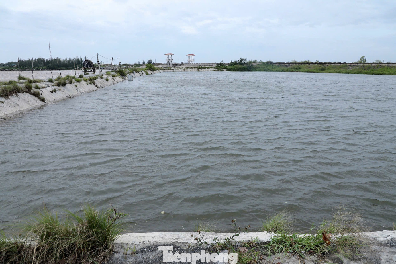 Không chỉ riêng ông Thiết, nhiều hộ nuôi hàu khác tại huyện Tiền Hải cũng ghi nhận thiệt hại không đáng kể.