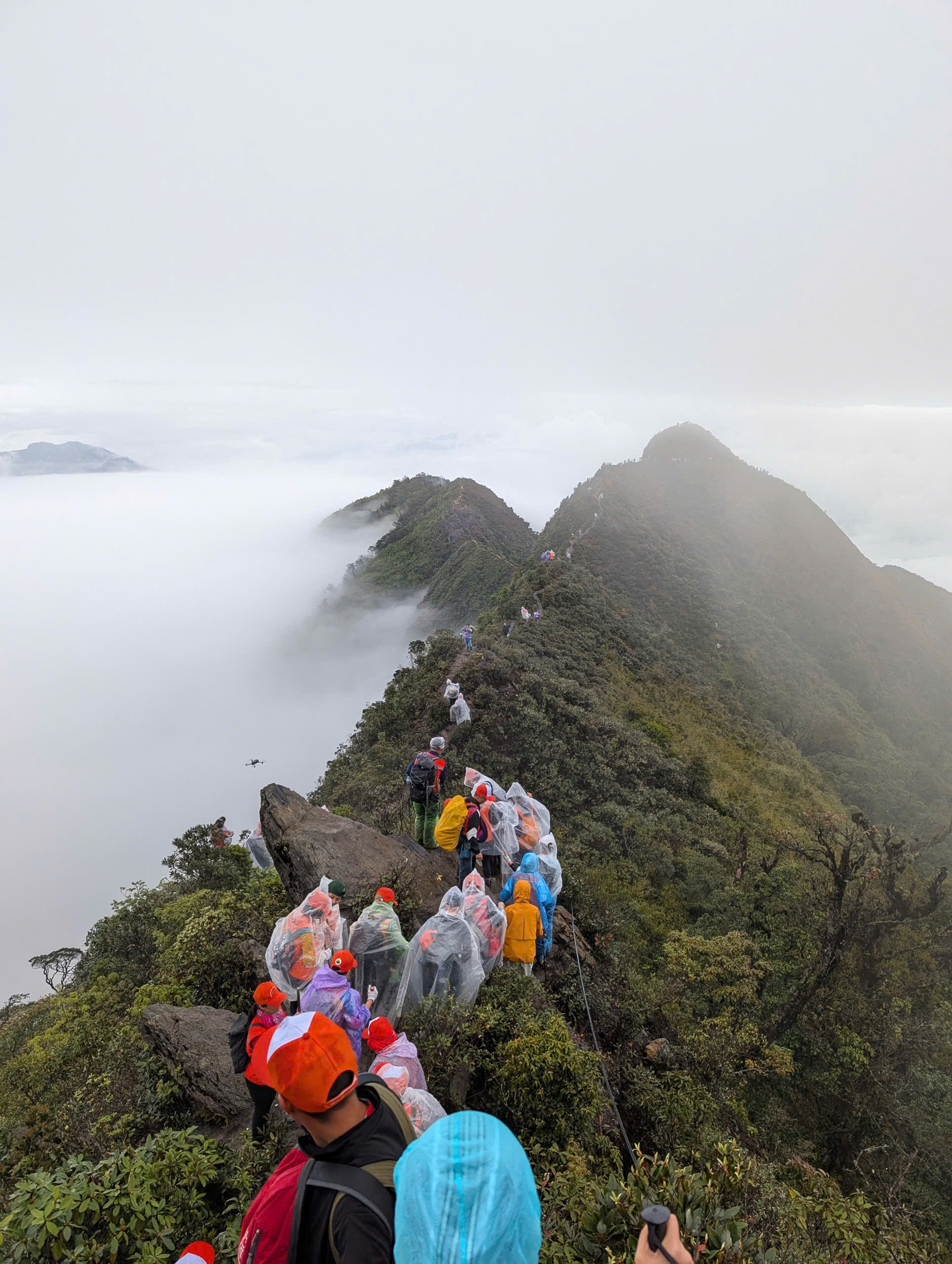 Những con đường khó đi.