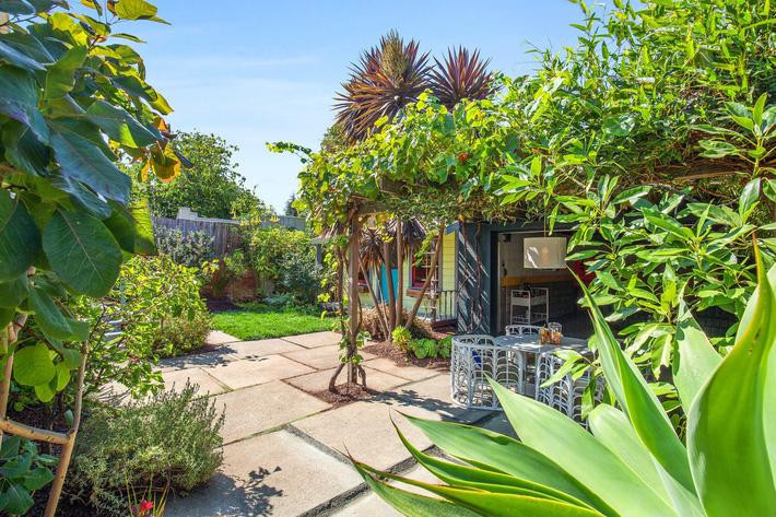 Sân sau được phủ xanh bằng các loại cây chịu hạn tốt như cọ, việt quất, chanh dây, mơ và bơ.