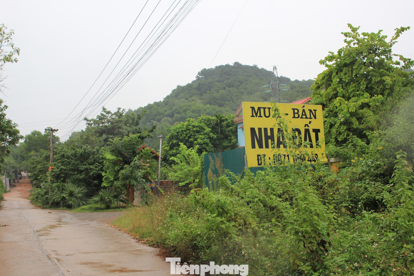KTS Phạm Thanh Tùng cho rằng, đây mới chỉ là ý tưởng, chủ trương vì vậy trong quá trình thực hiện cần kiểm soát tốt quy hoạch và phải có lộ trình nếu không sẽ tạo nên cơn “sốt đất ảo” và chính người dân sẽ chịu thiệt thòi. KTS Phạm Thanh Tùng cho rằng, đây mới chỉ là ý tưởng, chủ trương vì vậy trong quá trình thực hiện cần kiểm soát tốt quy hoạch và phải có lộ trình nếu không sẽ tạo nên cơn “sốt đất ảo” và chính người dân sẽ chịu thiệt thòi.