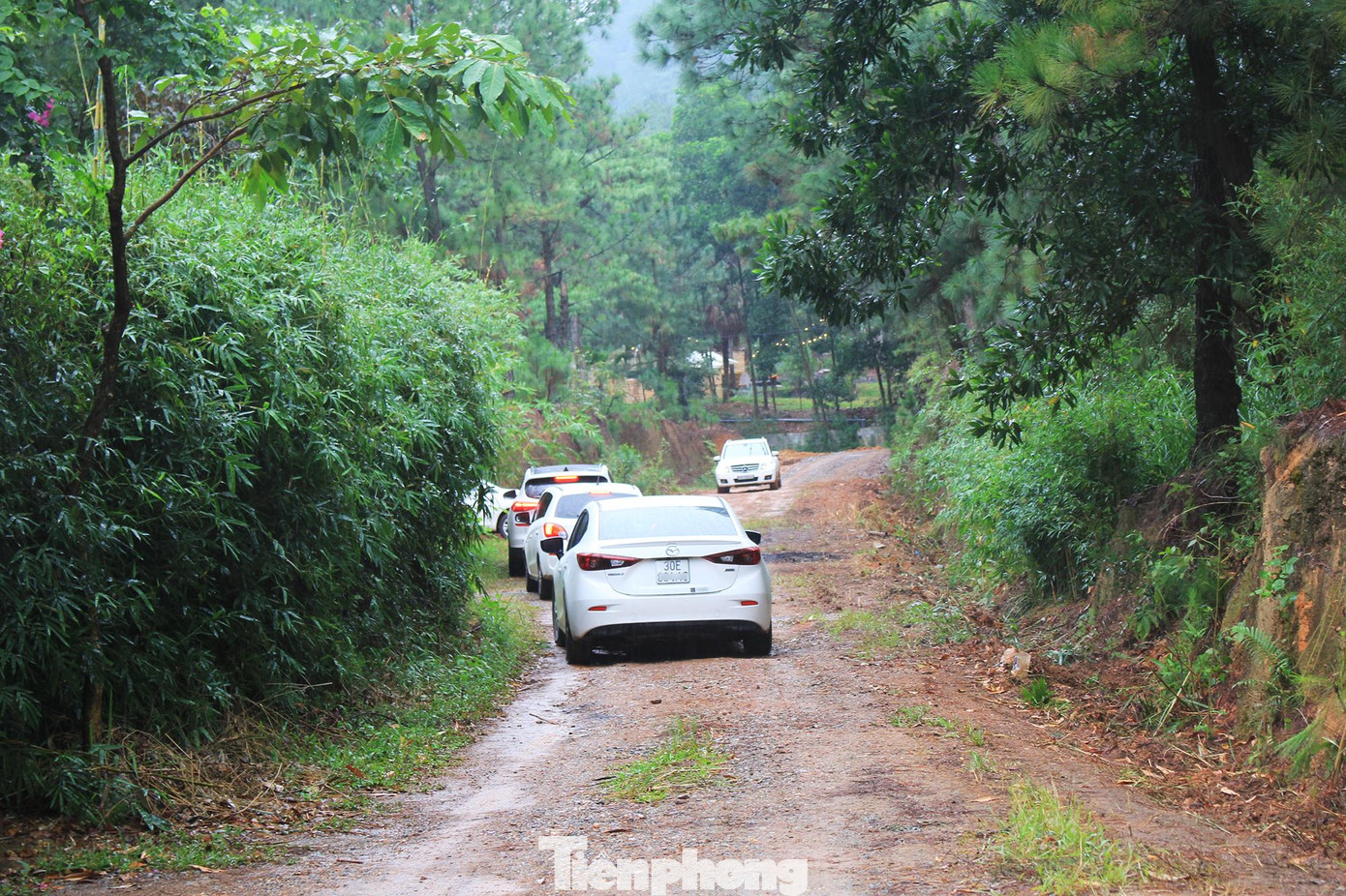 Mặc dù mưa gió nhưng các đoàn xe đi xem đất ở khu vực thôn Lâm Trường (xã Minh Phú) vẫn nườm nượp.