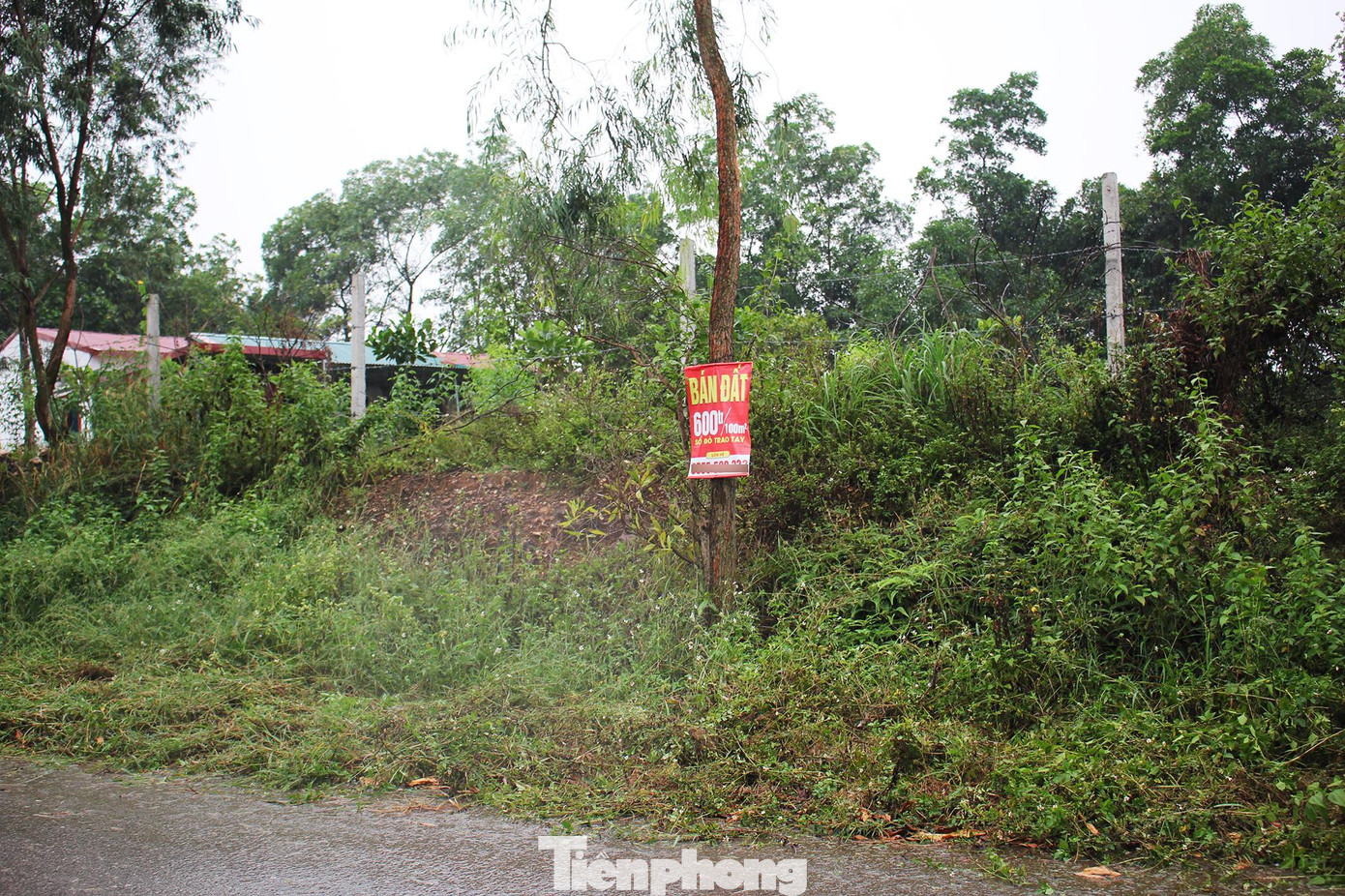 Biển rao bán đất xuất hiện tràn lan hai bên đường khu vực các xã Hiền Ninh, Minh Phú, Minh Trí.