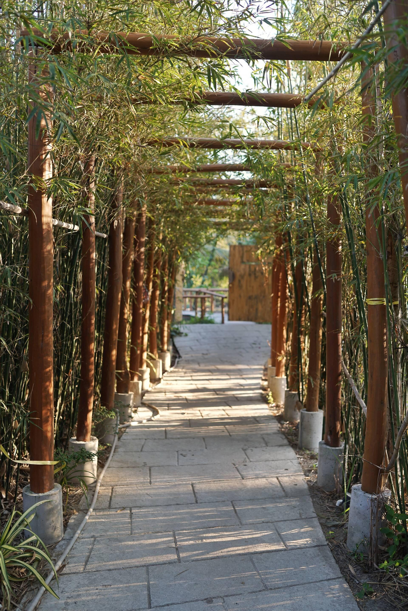 Các lối đi trong vườn quanh nhà được quy hoạch và thiết kế như một khu du lịch sinh thái.