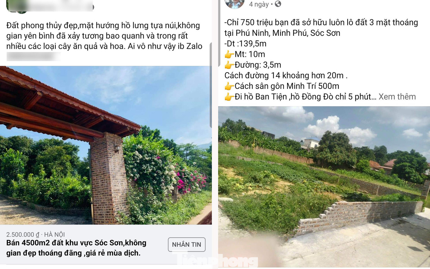 Thông tin rao bán đất vườn khu vực Sóc Sơn liên tục xuất hiện trên các website, hội, nhóm mạng xã hội.