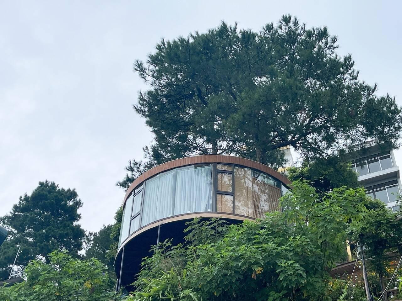 Vì đặc thù là nhà trên cây nên gia chủ đặc biệt quan tâm đến hệ kết cấu của ngôi nhà và hệ kết cấu liên kết nhà với cây. Trong đó mỗi hệ kết cấu đều phải đảm bảo những đặc điểm riêng để ngôi nhà trên cây vững chắc và ổn định.