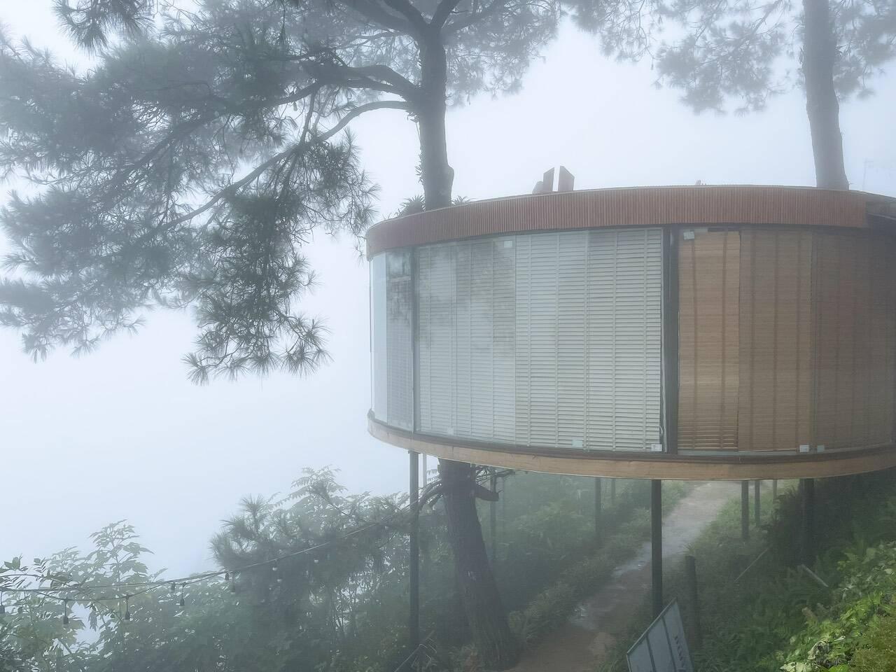 Vào sáng sớm, ngoài cây xanh, căn nhà còn được bao quanh bởi sương mù của Tam Đảo (Vĩnh Phúc).