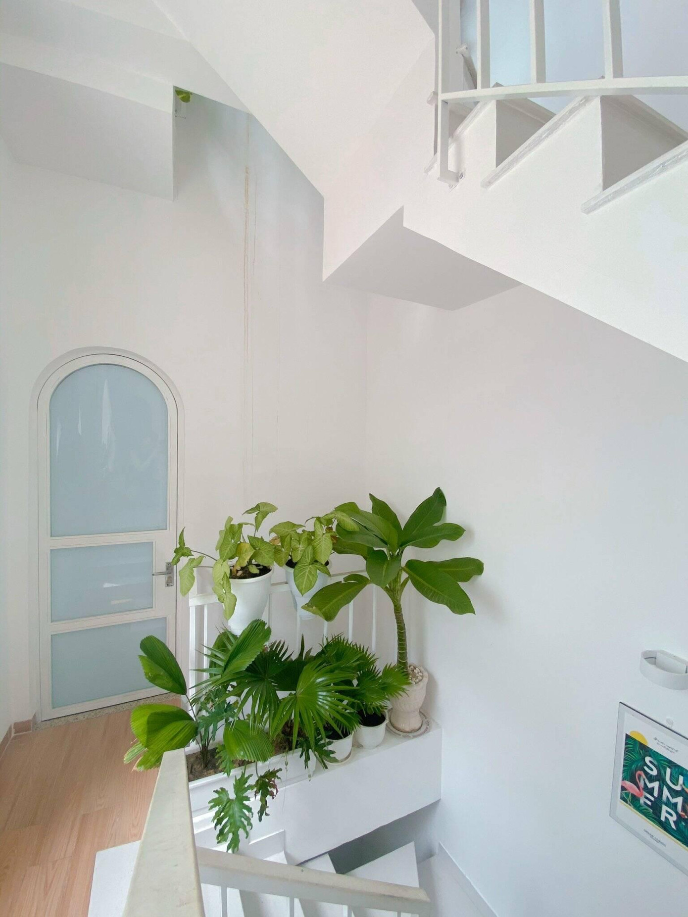 Cầu thang đặt nhiều chậu cây để tạo điểm nhấn cho không gian và giúp không khí trong nhà thoáng mát hơn.