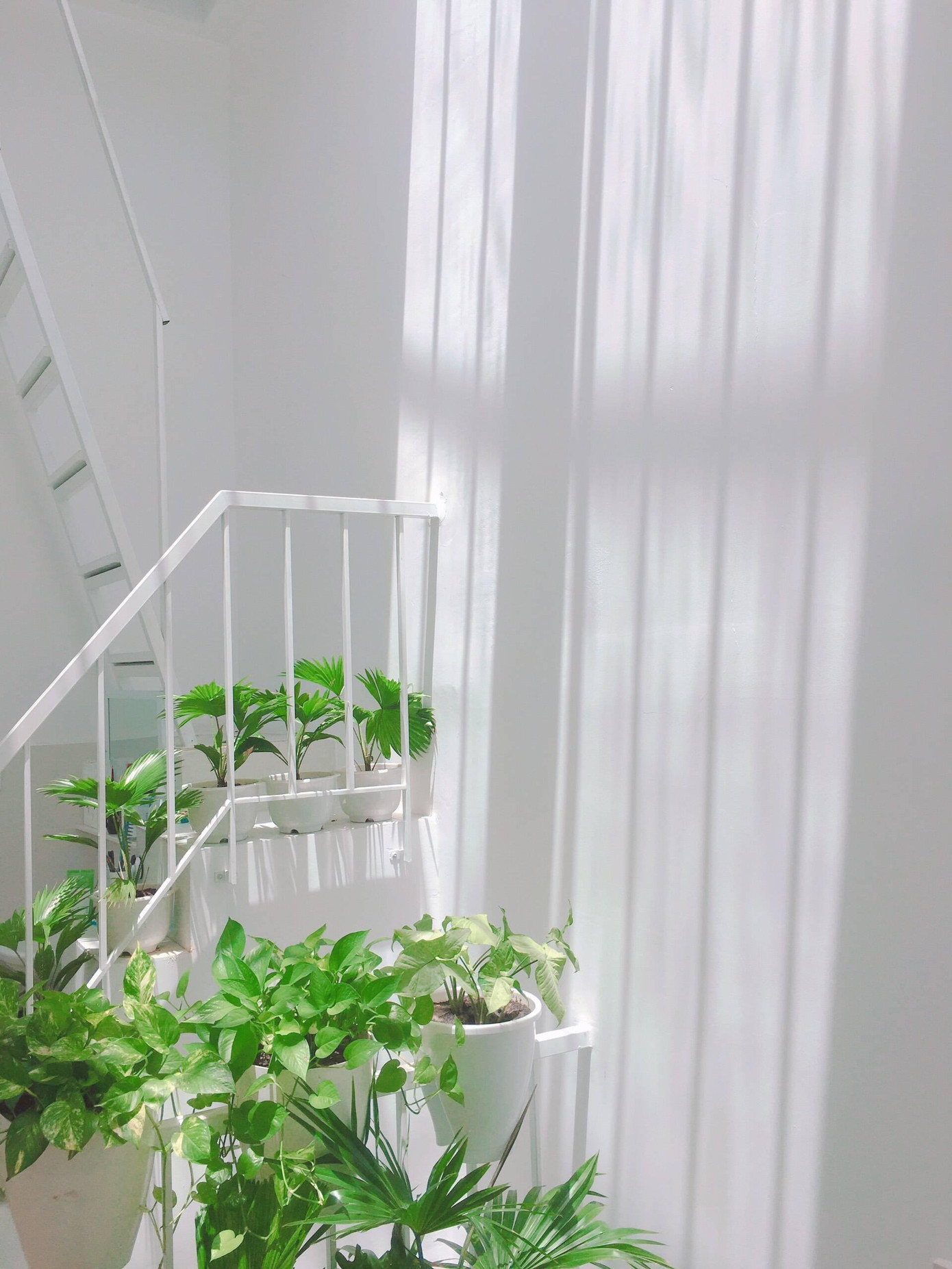 Do nhà trong ngõ nên KTS bố trí giếng trời giữa nhà để thông gió và chiếu sáng tự nhiên. Đồng thời giếng trời còn mang ý nghĩa hút hết điều đen đủi để mang lại sự may mắn cho người sống trong nhà.