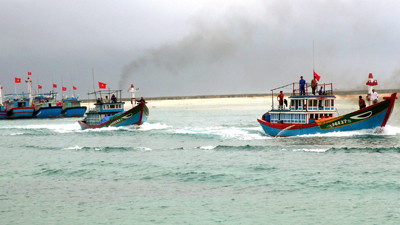 Tàu thuyền Lý Sơn tấp nập ra khơi cuối năm. Ảnh: Anh Thư