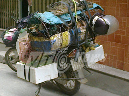 Một biện pháp tránh lây lan virus cúm A/H7N9 là chặn gà nhập lậu từ biên giới.. Một biện pháp tránh lây lan virus cúm A/H7N9 là chặn gà nhập lậu từ biên giới.