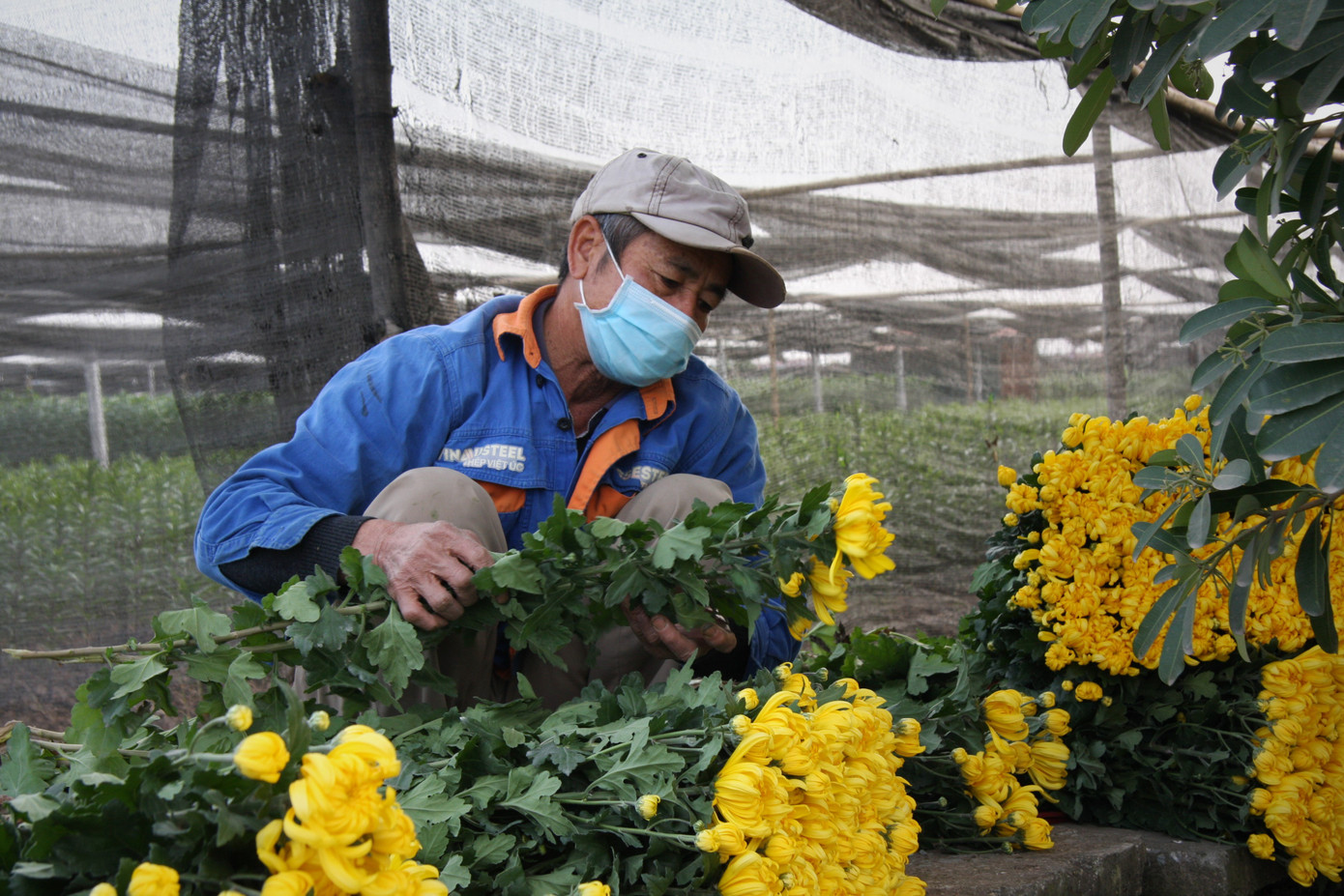 Người dân làng Tây Tựu thấp thỏm chờ Tết ảnh 4