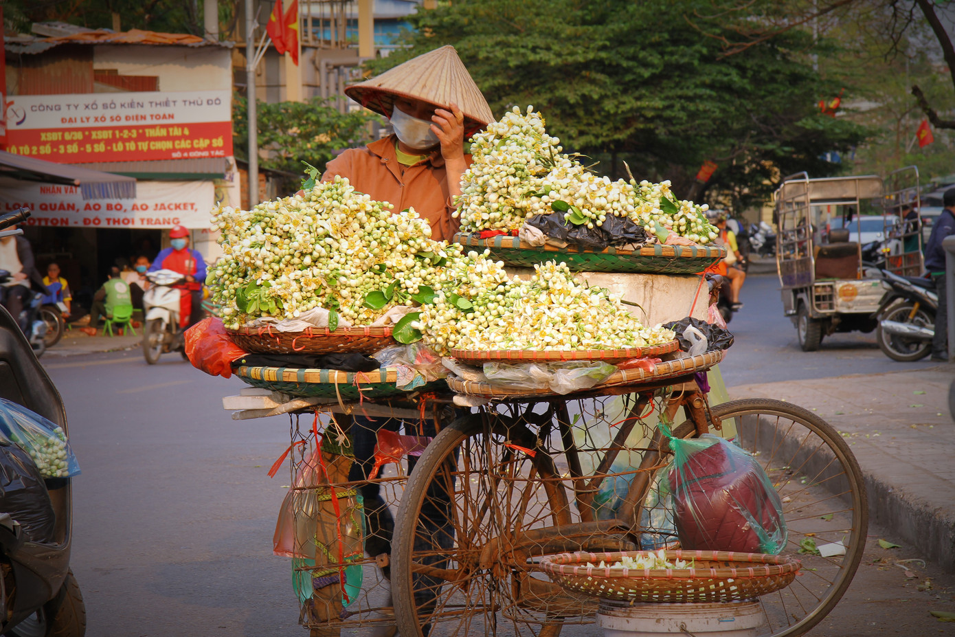 Hà Nội mùa hoa bưởi ngát hương ảnh 6