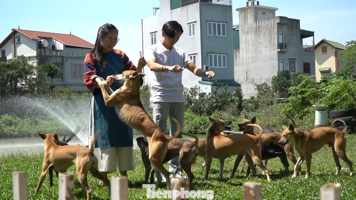 Xuất phát từ niềm yêu thích đặc biệt với giống chó bản địa Việt Nam, chị Lê Thị Hà hiện đang sở hữu 5 trang trại với hơn 100 cá thể chó Phú Quốc.