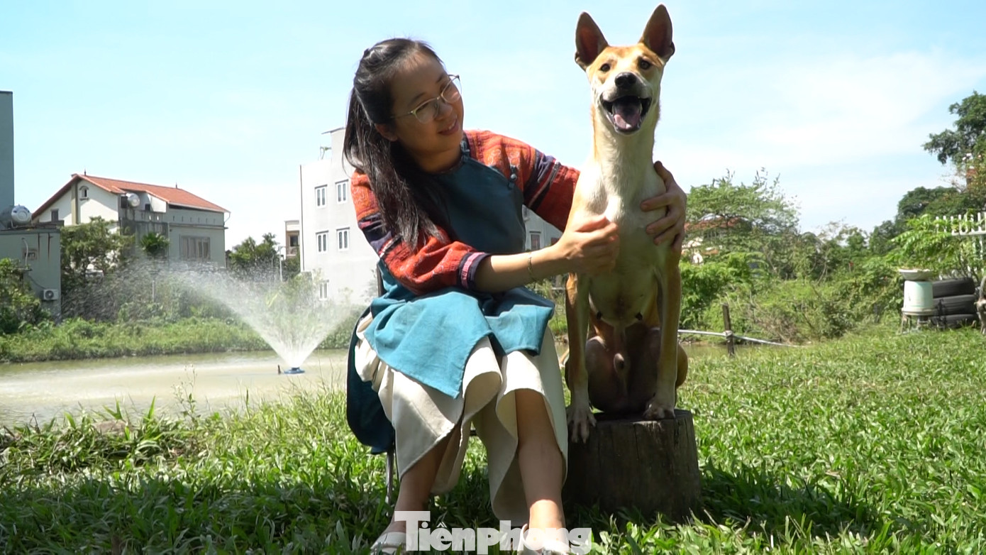 Bộ sưu tập những chú chó giá "nghìn đô" của nữ dược sĩ 8x.