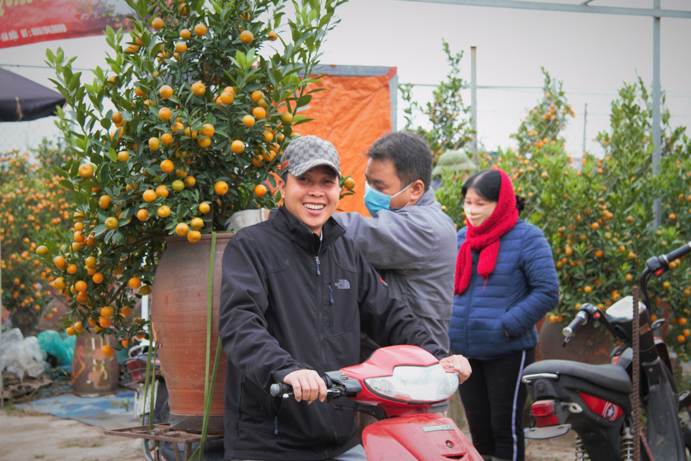 'Vương quốc' quất cảnh Thủ đô tất bật những ngày cận Tết ảnh 12