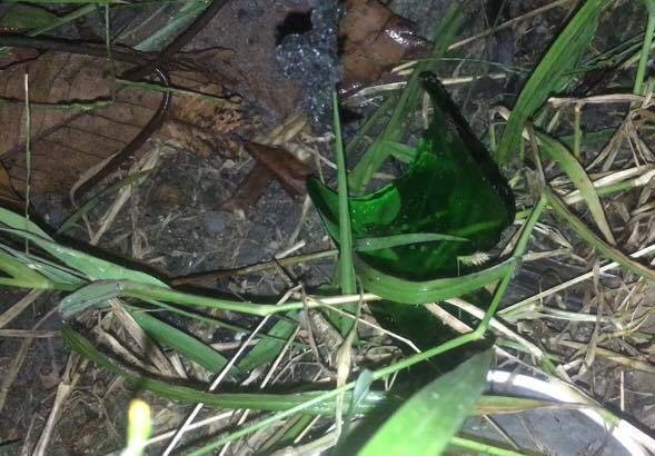 Quán cà phê bị ném bom xăng trong đêm, cả phố náo loạn ảnh 2