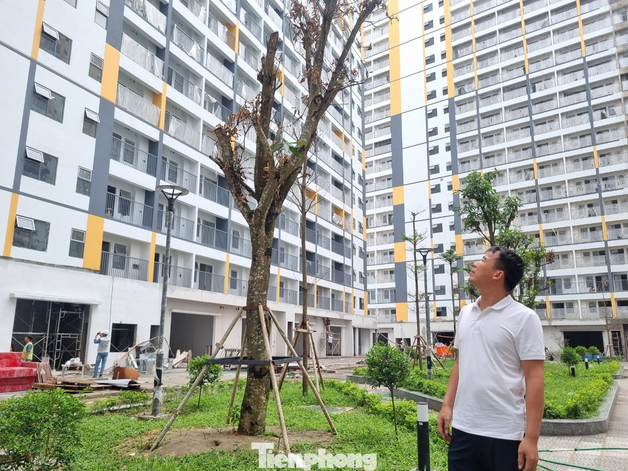 Nhà ở xã hội hoàn thành thấp hơn so với mục tiêu đề ra. ảnh: Ngọc Mai.