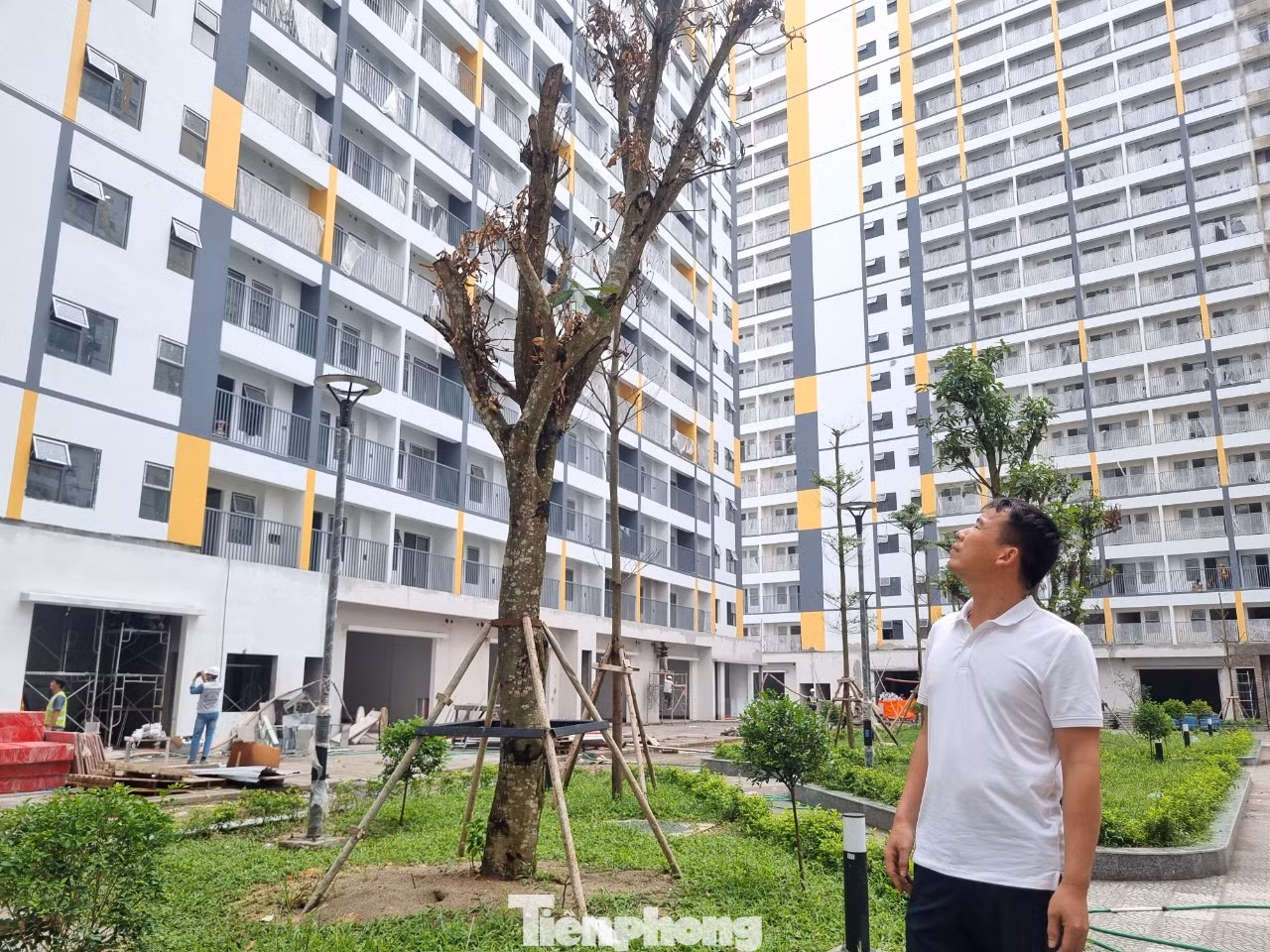 Nhà ở xã hội hoàn thành thấp hơn so với mục tiêu đề ra. ảnh: Ngọc Mai.
