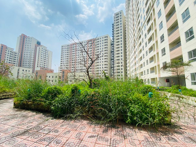 Hàng nghìn căn hộ tái định cư bỏ hoang ở Hà Nội. Hàng nghìn căn hộ tái định cư bỏ hoang ở Hà Nội.