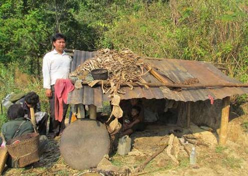 Lều của gia đình anh Lỳ Nhu Hừ ở trong rừng cao chỉ đến cổ người đàn ông trưởng thành. Ảnh: Nông nghiệp Việt Nam