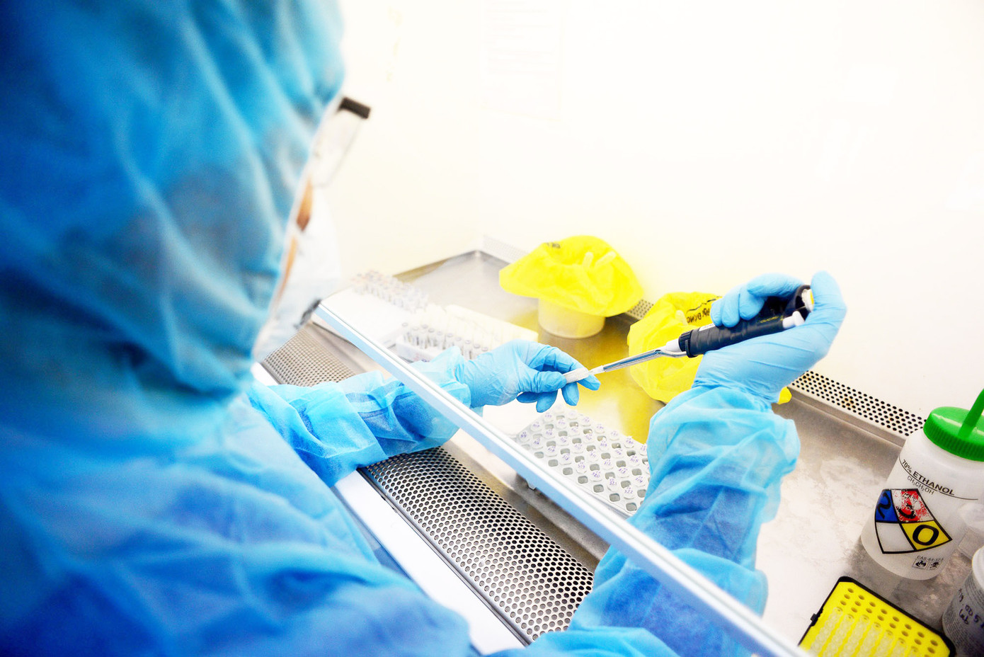 Kết quả xét nghiệm cho thấy vi khuẩn hiện diện trong phân của 2 bệnh nhi dự tiệc trung thu