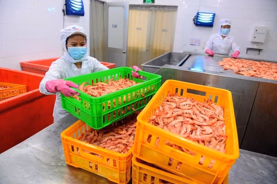 Dự báo, thị trường lao động trong những tháng cuối năm tuy còn khó khăn nhưng nhu cầu tuyển dụng sẽ gia tăng (ảnh: Uyên Phương).