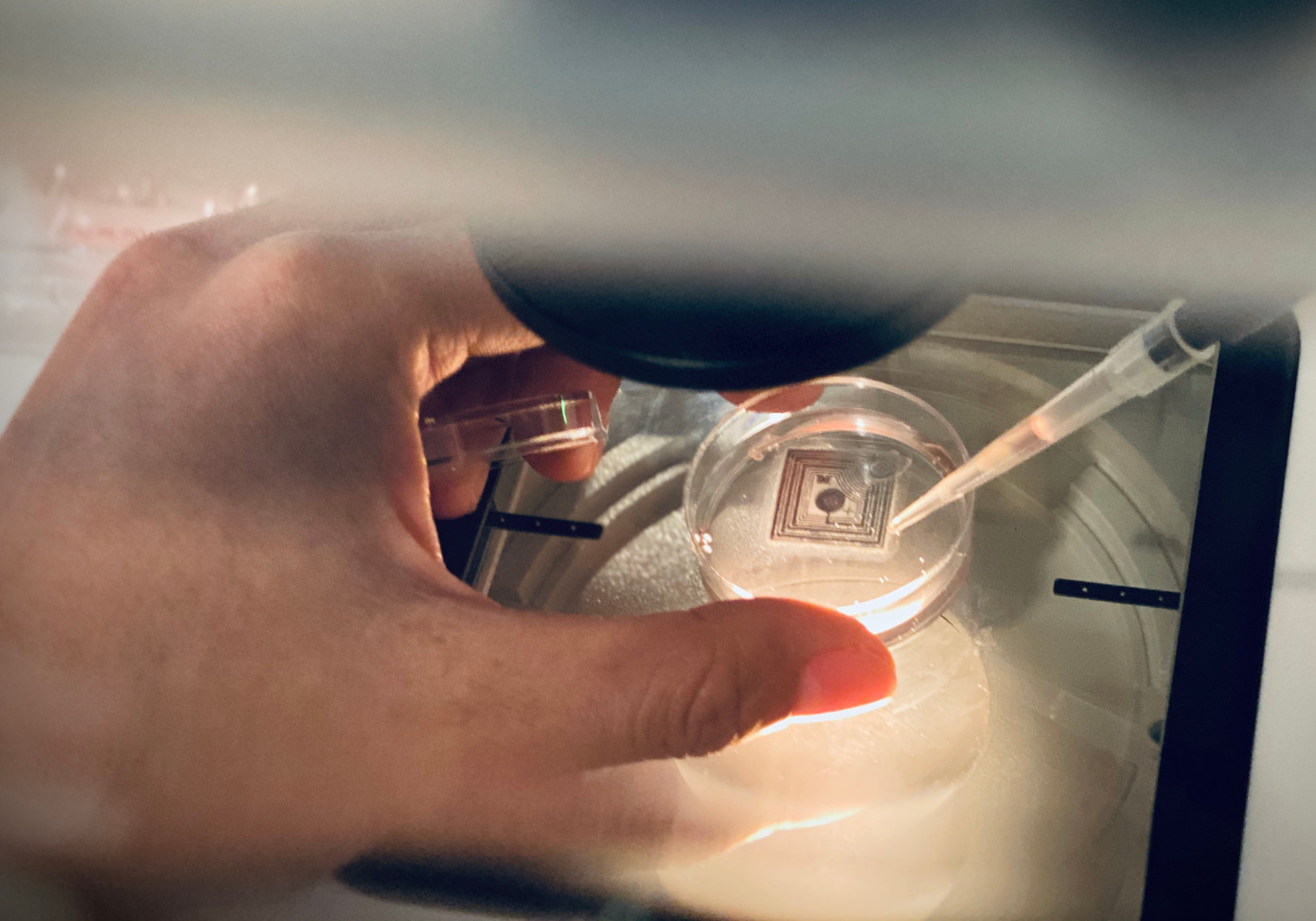 Chuyên viên phôi học đang chuẩn bị môi trường (ảnh: BVCC) Chuyên viên phôi học đang chuẩn bị môi trường (ảnh: BVCC)