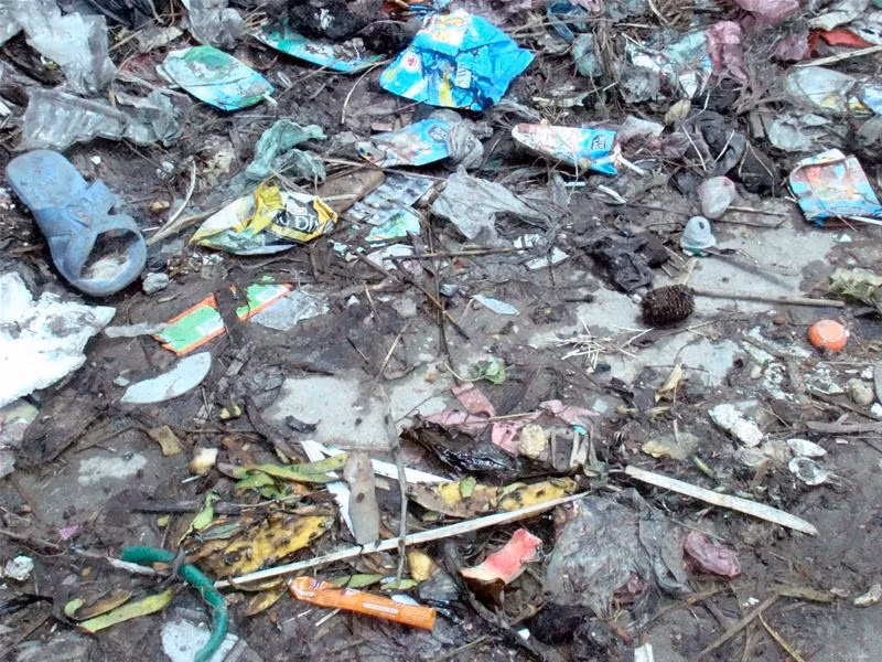 Lông chó bừa bãi ở cống công cộng Ruồi nhặng bu đầy rác thải Xương chó đầy đường Lông chó chất đầy, chờ người đến chở đi