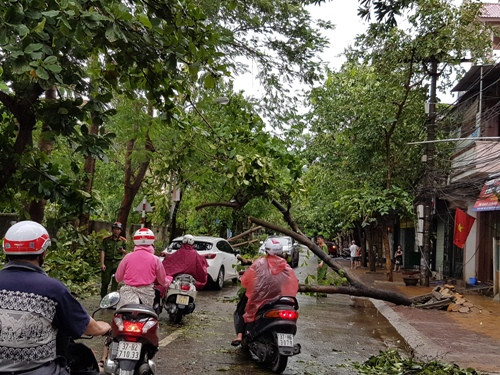 Hình ảnh Nghệ An, Hà Tĩnh ngổn ngang sau bão số 2 ảnh 4