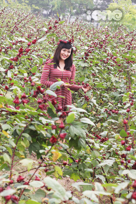 Rất nhiều bạn trẻ đã tranh thủ những ngày cuối tháng 10 đến đây chụp ảnh kỷ niệm