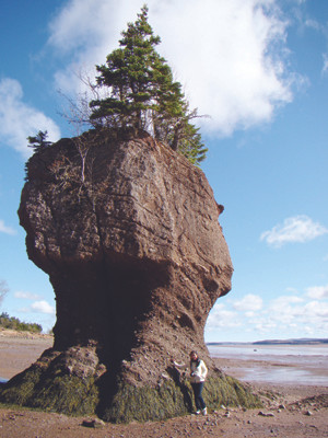 Lọ hoa bằng đá 