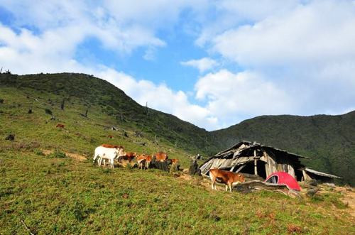 Những người leo núi thường chọn hạ trại quanh các bản trên đỉnh Tà Chì Nhù để tránh gió