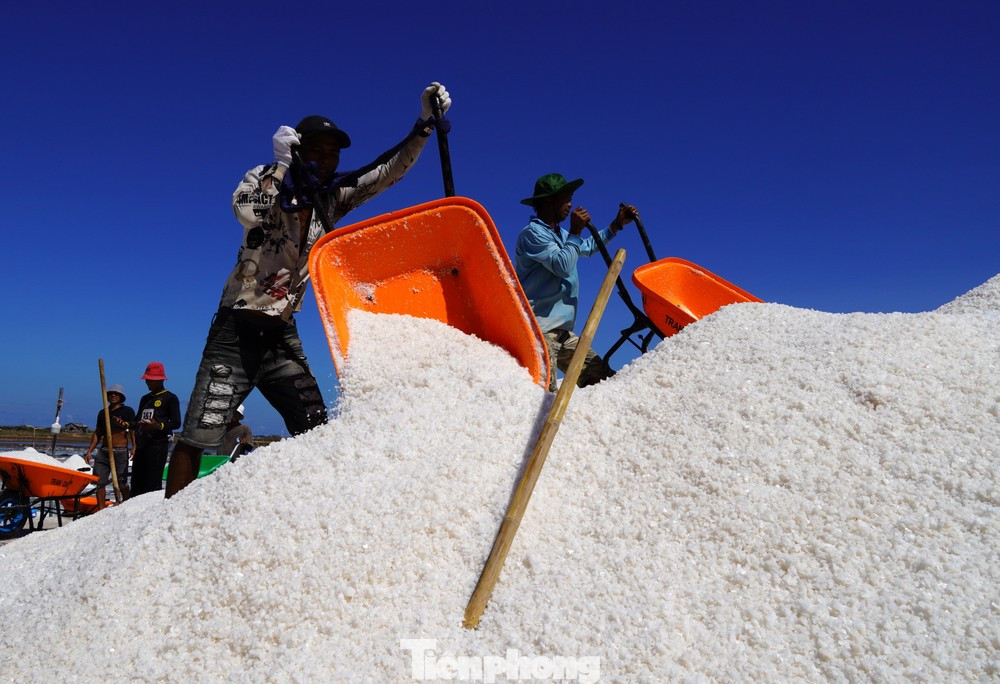 Diêm dân Bạc Liêu thu hoạch muối - nghề truyền thống của ông cha để lại hơn 100 năm qua. Diêm dân Bạc Liêu thu hoạch muối - nghề truyền thống của ông cha để lại hơn 100 năm qua.