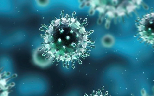 Virus cúm A (thường gặp A/H3N2, A/H1N1) và cúm B gây ra các đợt dịch bệnh theo mùa ở người, nên được gọi là cúm mùa.