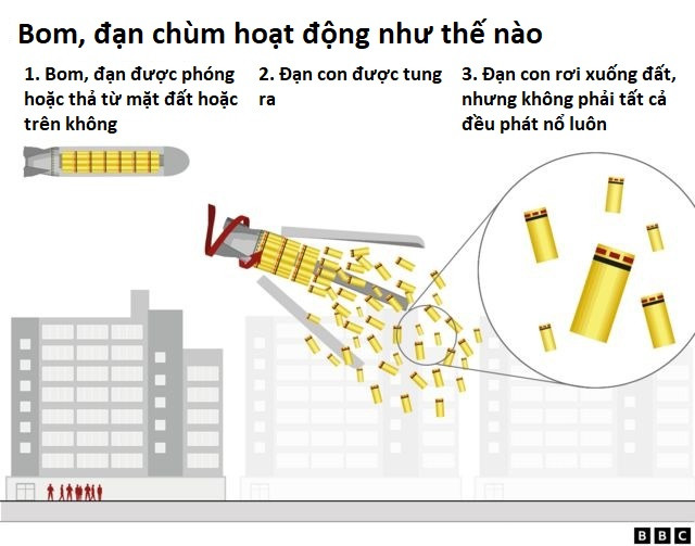 Đồ họa: BBC Đồ họa: BBC