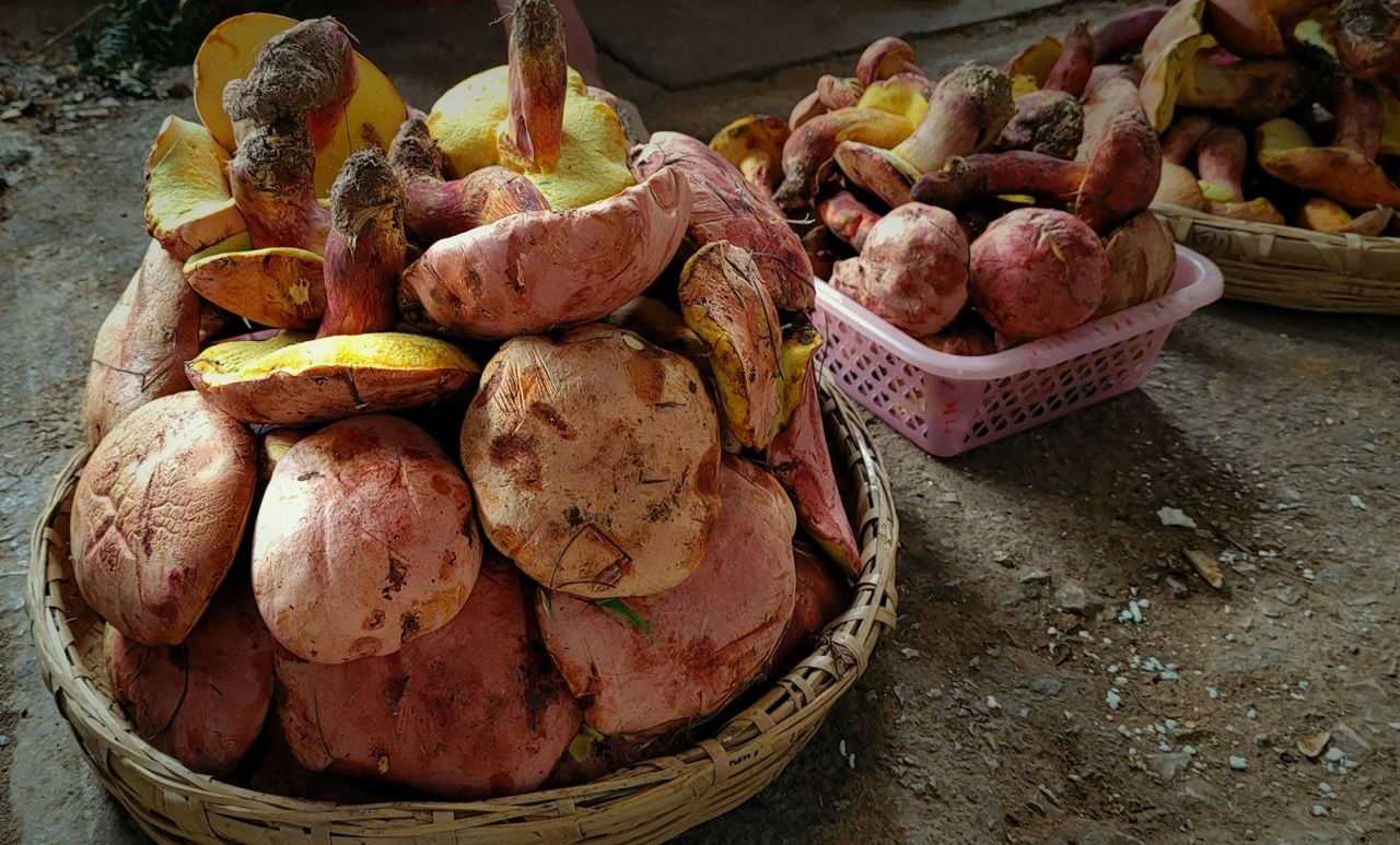 Nấm jian shou qing. Ảnh: CNN