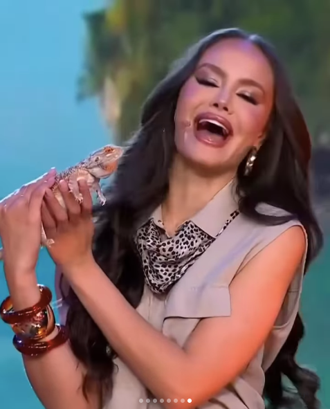 Dàn người đẹp tham gia thử thách với động vật trong chương trình Miss Universe Latina.