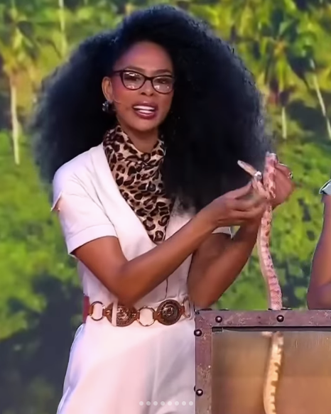 Dàn người đẹp tham gia thử thách với động vật trong chương trình Miss Universe Latina.