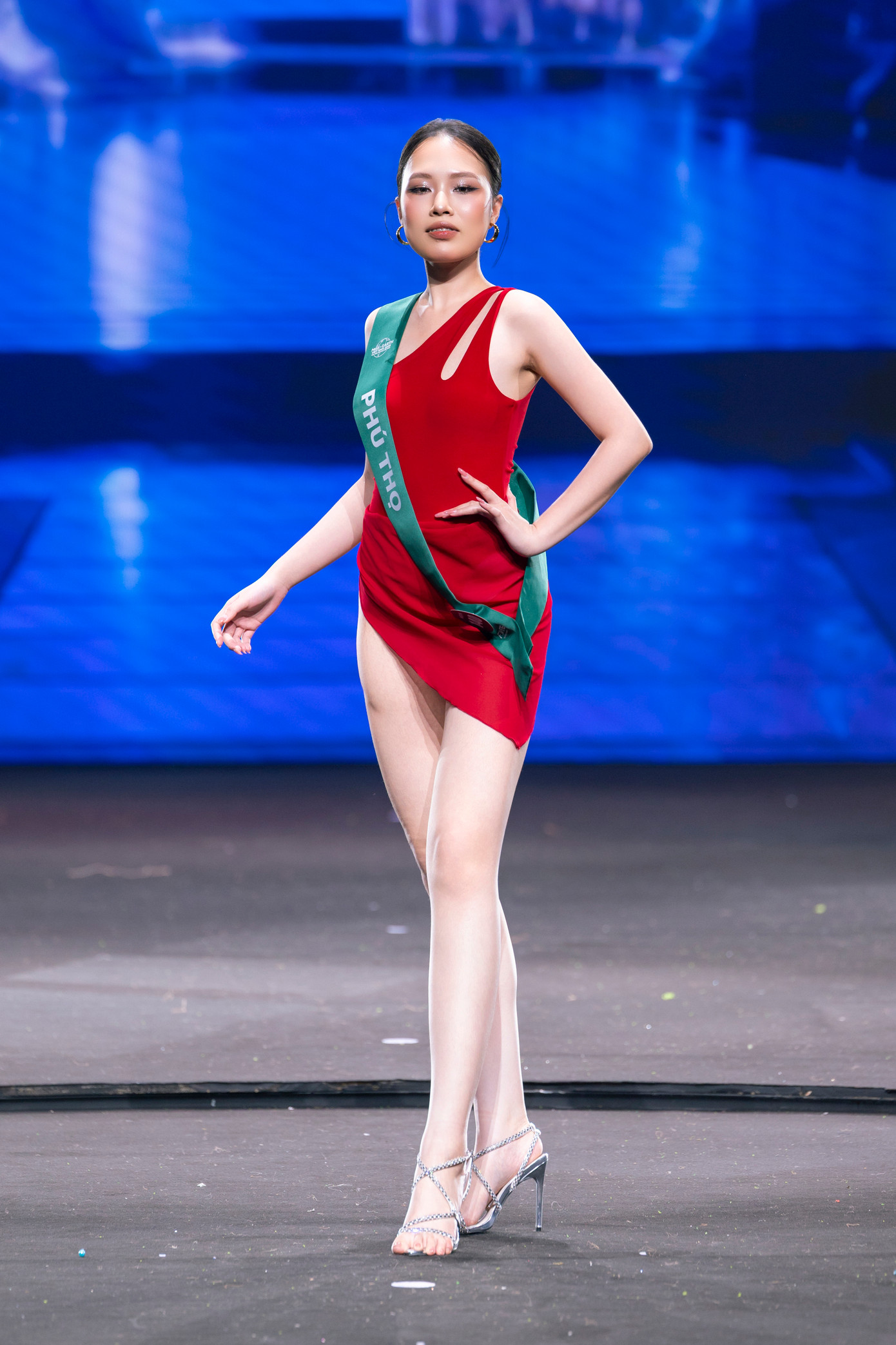 Trước đó, bản quyền Miss Earth Vietnam thuộc về diễn viên Trương Ngọc Ánh. Cô đã phối hợp tổ chức mùa giải Miss Earth 2023 tại TPHCM. Sau đó, nữ diễn viên gặp vấn đề về tài chính nên đã nhượng bản quyền cho đơn vị khác.