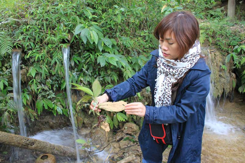 Một chiếc lá được phủ lớp đá vôi cứng một bên, một bên đang màu xanh. Ảnh: Hoàng lam